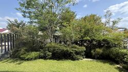 Seaside Park (D15), Semi-Detached #558050001